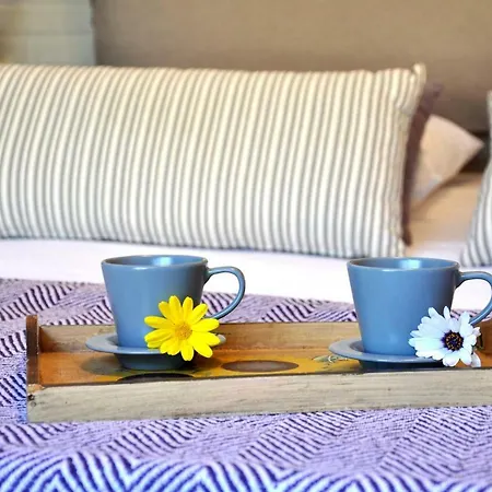 Chanialiving Chania Luxury Garden Apt1 *